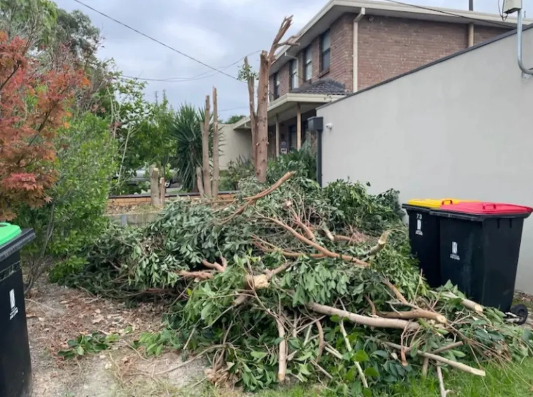 Home and garden junk cleared
